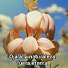 marclolbaka0