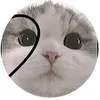 whosthea42