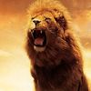 abdiqaniahmed63