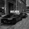 melnik397