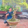 bonsai.ducvinh