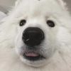 bbnnrr8