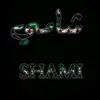 mohammed_arabi_