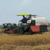 QUÝ GỒM