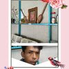 suriamisrom
