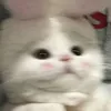 minimunnn