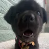 vananhhhhcutii