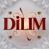 dilim9203