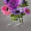 tawiqiraq4