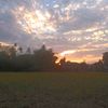 aungaung.157