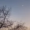 .ariadna772