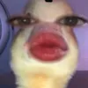rheafabillion