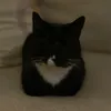 cheddahlous