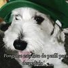 el_papu_mateo