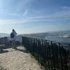 ph_loopss