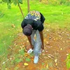ketaro_17