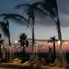 user26lpgxpp46