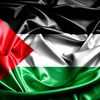 mostafa_alhawary