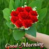 user67628201676092