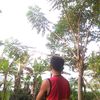 ramadhanadi0