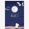 habibamohamed2690