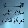 user5735394039528