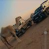 llbdrny5