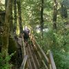 matiasabett_10