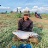 huyndee1