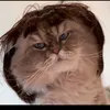 holymeowly4