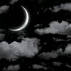 davud_xacmaz