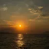 dilara74446