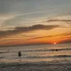 coconcavang