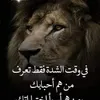 frasfras4075