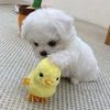 chubbymymu