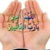 allwadha