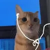 mariaholsen323