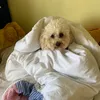benji1423