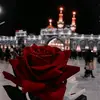 ali._li2