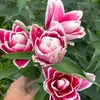 user1191360018676
