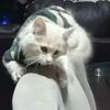 AndyElGato09