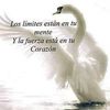 claudiaxiu970