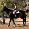 lolas.equineriding