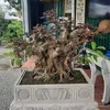 Thế đức