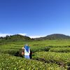 halimahtusakdah.05
