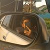 mr.cinel.ibnu