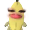chip_oii01