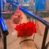 anjle_03