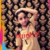 itsmughal7866