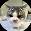 naisa.islam40